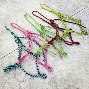 Paracord halster