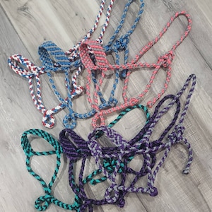 Muletape Hästgrimma i genomsnittlig storlek