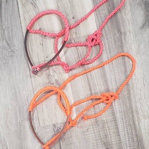Rope Noseband Muletape Horse Halter Average Size, No Lead