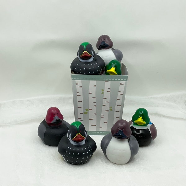 Decoy Rubber Ducks - set of 4 with gift box, decoy ducks, decoy, party supplies, duck hunting, ducks, party favors