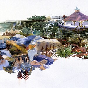 Pack of 8 Mixed Cards - Duckpond