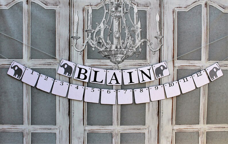 1 to 12 months pictures mEMORY kEEPER -Name Signs Baby Pictures Rustic Baby Shower Signs BABY PHOTOS Sign and NAME Banner