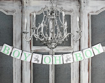 Baby shower Decorations, Gender Reveal Decor, Baby boy Signs, Deer antlers, silver and green