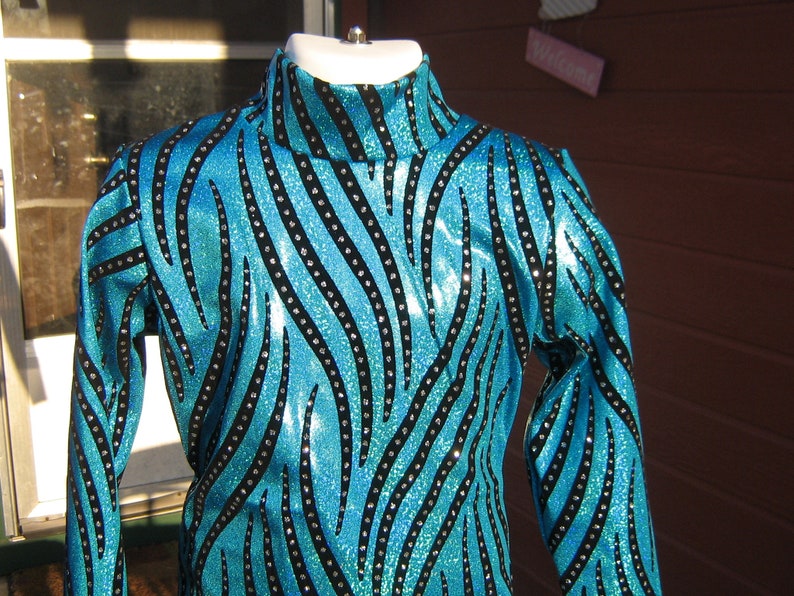 Silver Slinky Western Show Shirt 