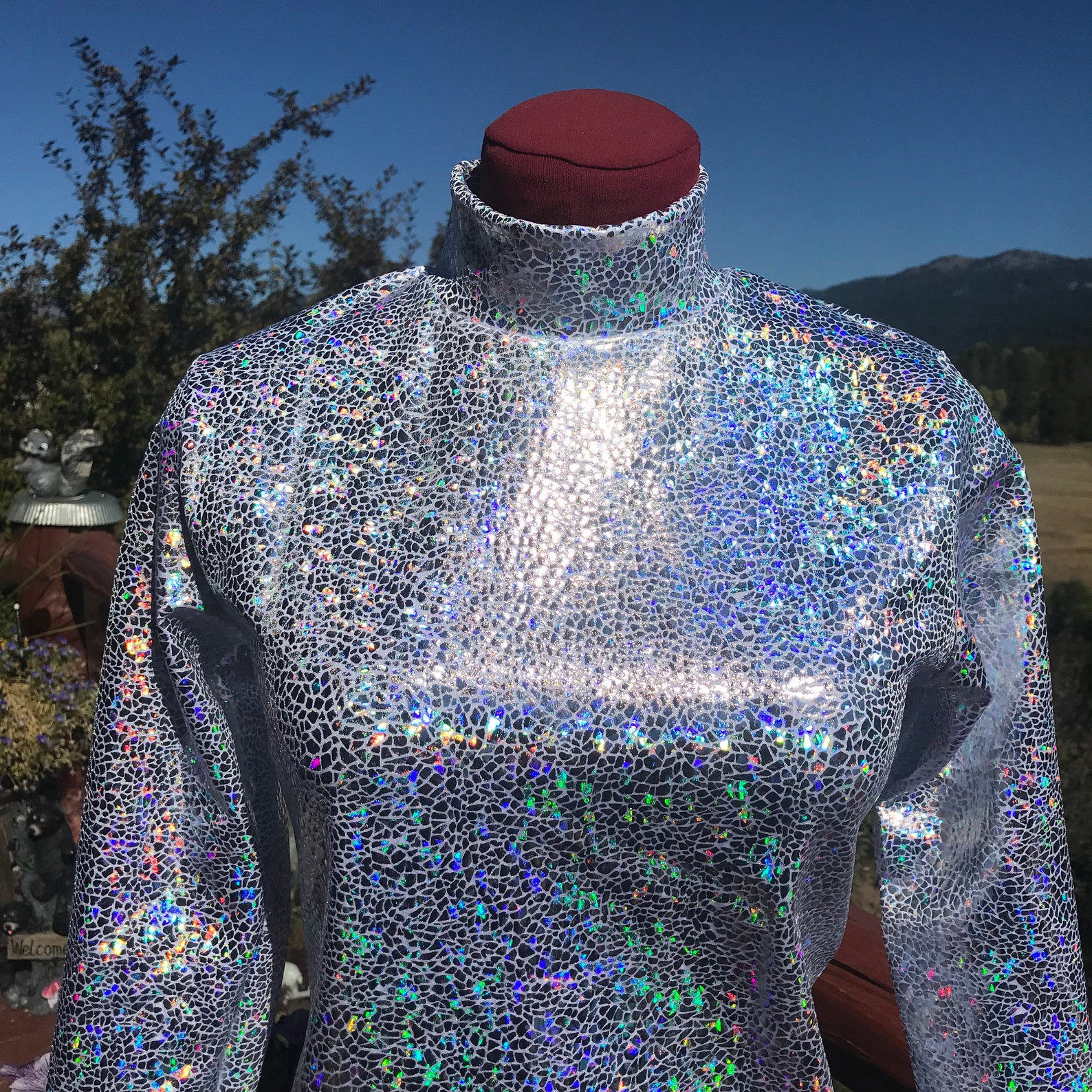 GIRLS Silver Shine Slinky Western Show Shirt Pleasure Etsy