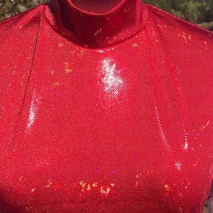 May include: A red sequined turtleneck top. The top is made of small, shiny sequins that catch the light. The turtleneck is a darker shade of red. The top is displayed on a mannequin.