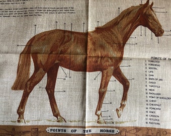 New Vintage Unused, By Ulster, Savitt, Irish  Linen, Points of The Horse, Facts About Horses,  Tea Towel