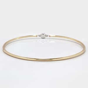 Discreet Slave Day Collar - 14k Yellow Gold-filled 8 Gauge Round Wire w/ Sterling Silver Locking Allen Key Clasp