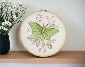 Luna moth nature themed embroidery hoop, hand embroidery hoop art, framed embroidery gift, nature themed wall art, handmade in the UK