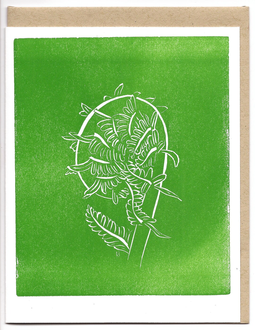Fiddlehead Fern Science Themed Blank Letterpress Printed Etsy