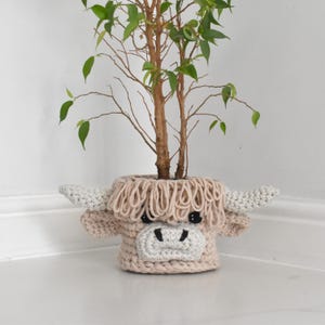 Puede incluir: Maceta de ganchillo beige con forma de vaca de las Tierras Altas, con flecos marrón claro y cuernos blancos. La maceta contiene un pequeño árbol con hojas verdes. La vaca tiene ojos negros y un hocico blanco. La maceta está en una esquina.