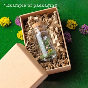 Op de afbeelding: Een kleine glazen fles met een kurk, gevuld met miniatuurplanten en bloemen, staat in een bruine kartonnen doos met papieren vulling. De doos is gedeeltelijk open en onthult de inhoud. De tekst "Example of packaging" is zichtbaar.