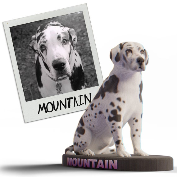 the care bears movie 3