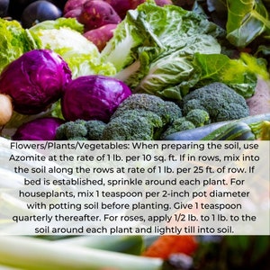 May include: A close-up image of various vegetables and flowers, including red cabbage, broccoli, and green leafy vegetables. The image includes text that reads: "Flowers/Plants/Vegetables: When preparing the soil, use Azomite at the rate of 1 lb. per 10 sq. ft. If in rows, mix into the soil along the rows at rate of 1 lb. per 25 ft. of row. If bed is established, sprinkle around each plant. For houseplants, mix 1 teaspoon per 2-inch pot diameter with potting soil before planting. Give 1 teaspoon quarterly thereafter. For roses, apply 1/2 lb. to 1 lb. to the soil around each plant and lightly till into soil."