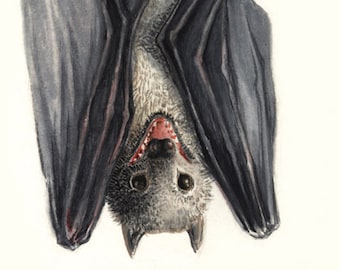 Downloadable Bat Prints, Printable Art Watercolor Animal Prints, Watercolor Bat Illustration, Funny Print