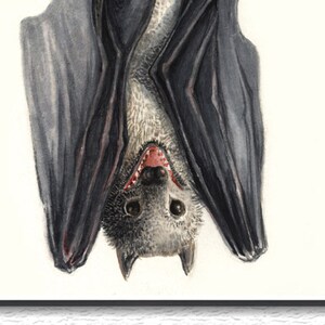 Downloadable Bat Prints, Printable Art Watercolor Animal Prints, Watercolor Bat Illustration, Funny Print