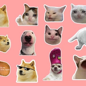 Dierlijke Meme-stickers