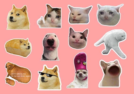 Animal Meme Stickers 