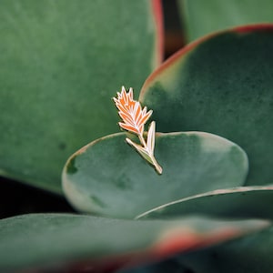 Indian Paintbrush Wildflower Enamel Pin / Flower Pin / Botanical Pin / Castilleja Flower image 5