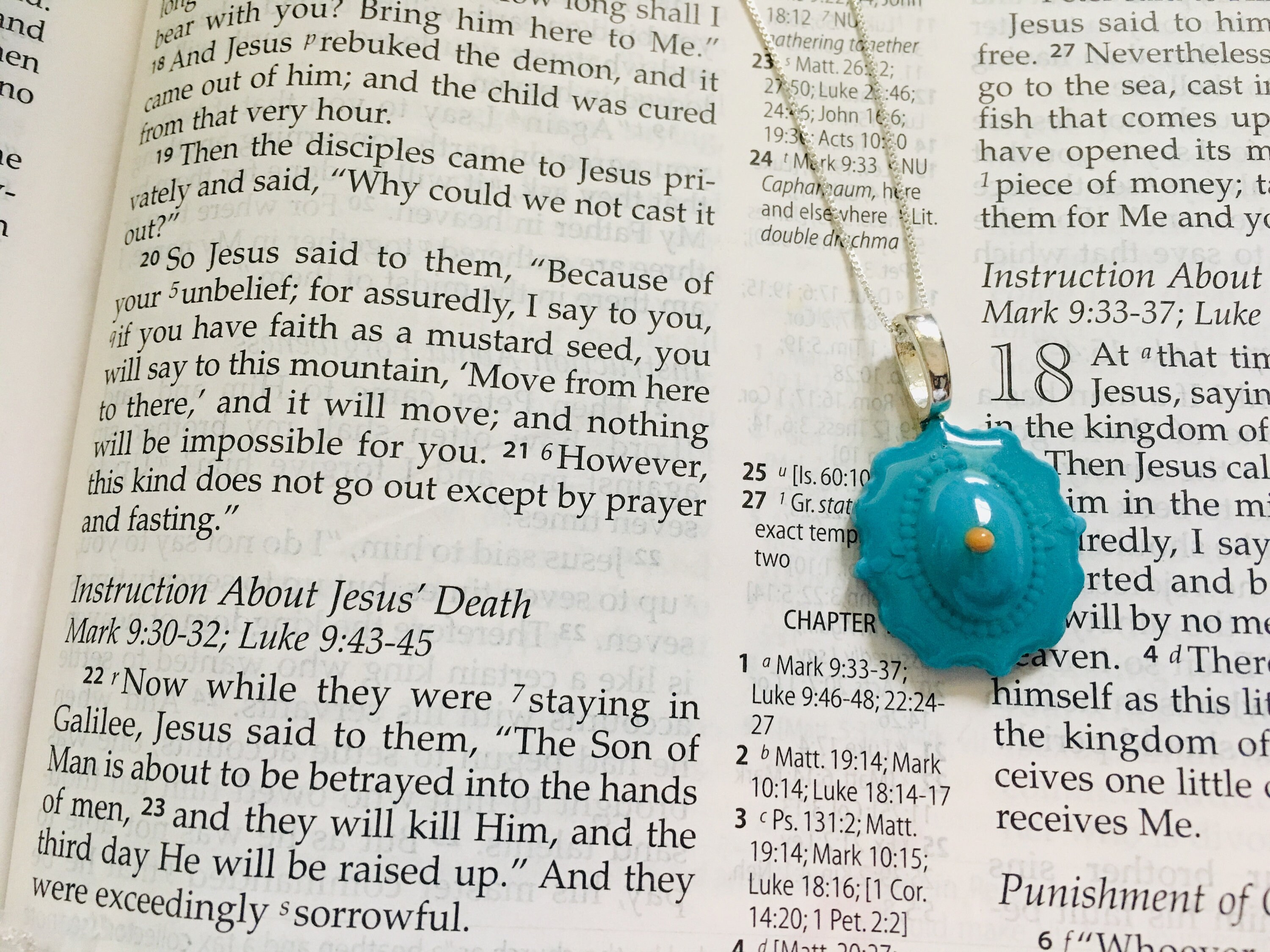 Mustard seed necklace faith of a mustard seed necklace Etsy