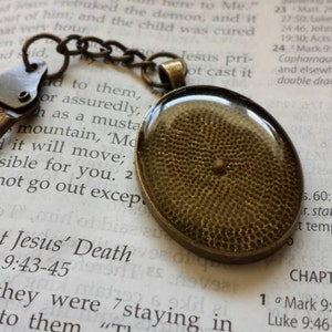 Mustard Seed Keychain - Faith of a mustard seed keychain - Antique brass - dad - oval - baptism gifts - new driver - Fathers day gifts