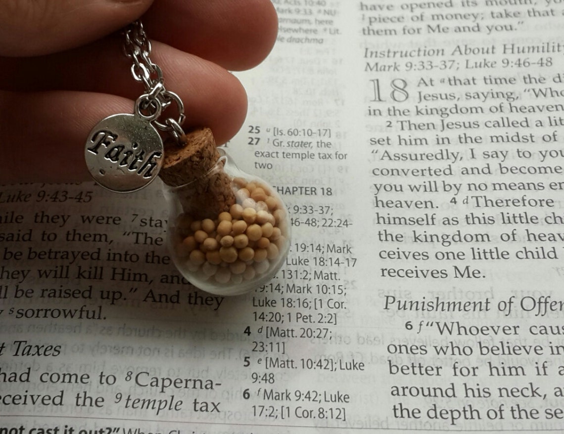 Mustard Seed Necklace Mustard Seed Jewelry Glass Vial Etsy
