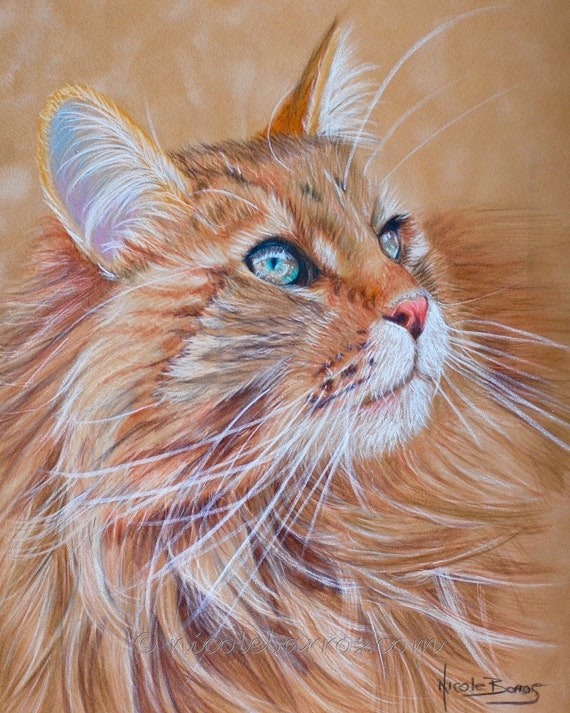 How to Draw a Realistic Cat Step-by-step - Udemy Blog