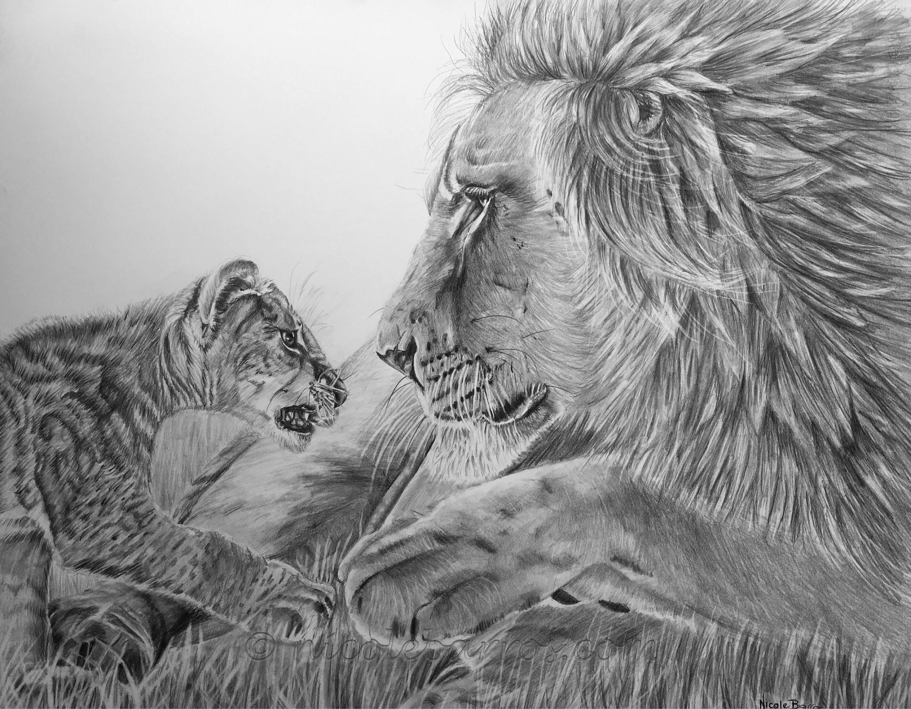 Leones León macho Cachorro Dibujo original a lápiz Arte - Etsy España