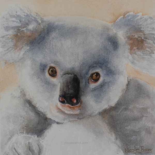 Baby Koala, Australian Animals, Home decor, Original Painting, Watercolour painting 8"x8" Baby animals