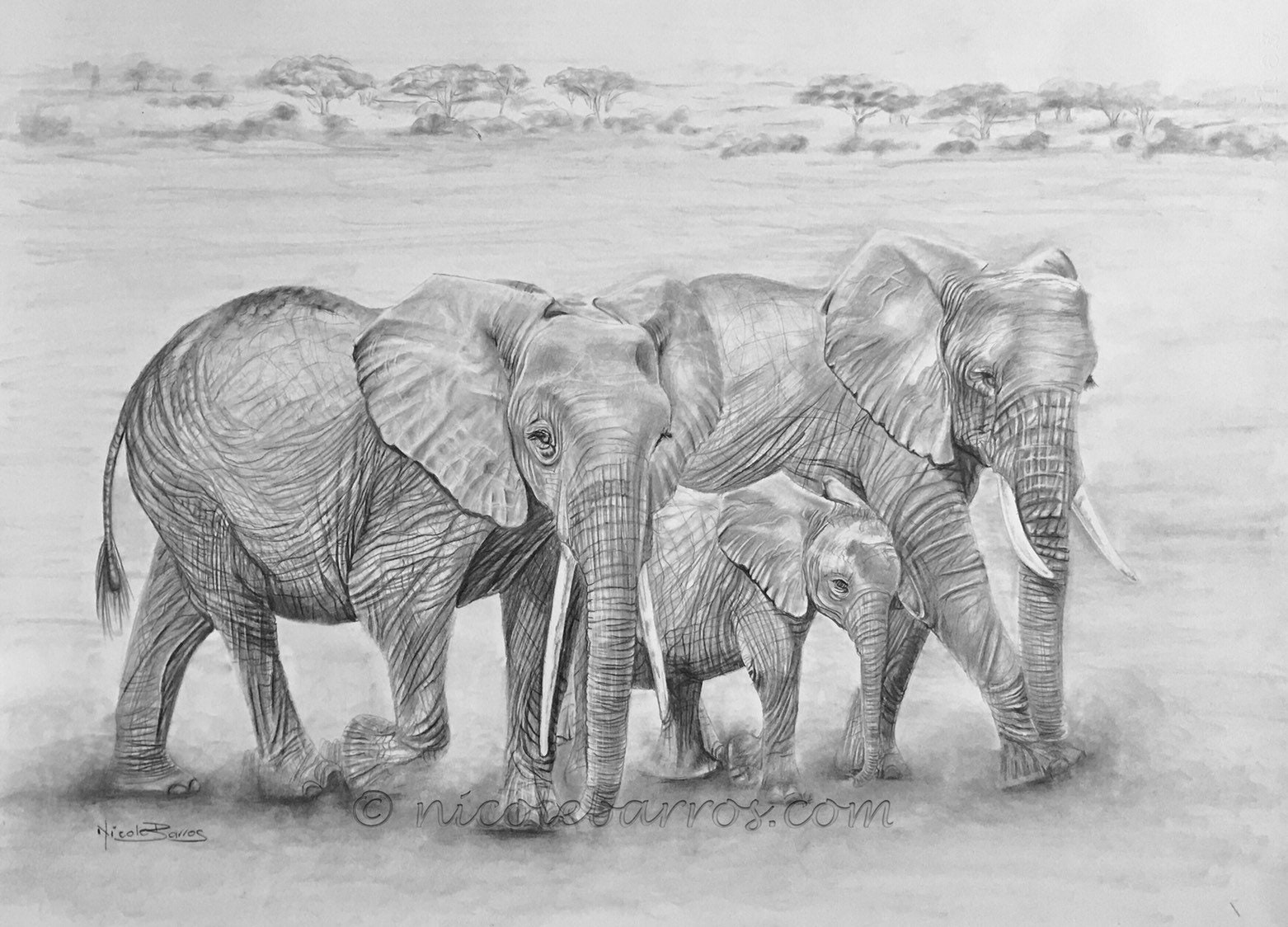 Pencil Art Elephant Pencil Drawing ubicaciondepersonas.cdmx.gob.mx
