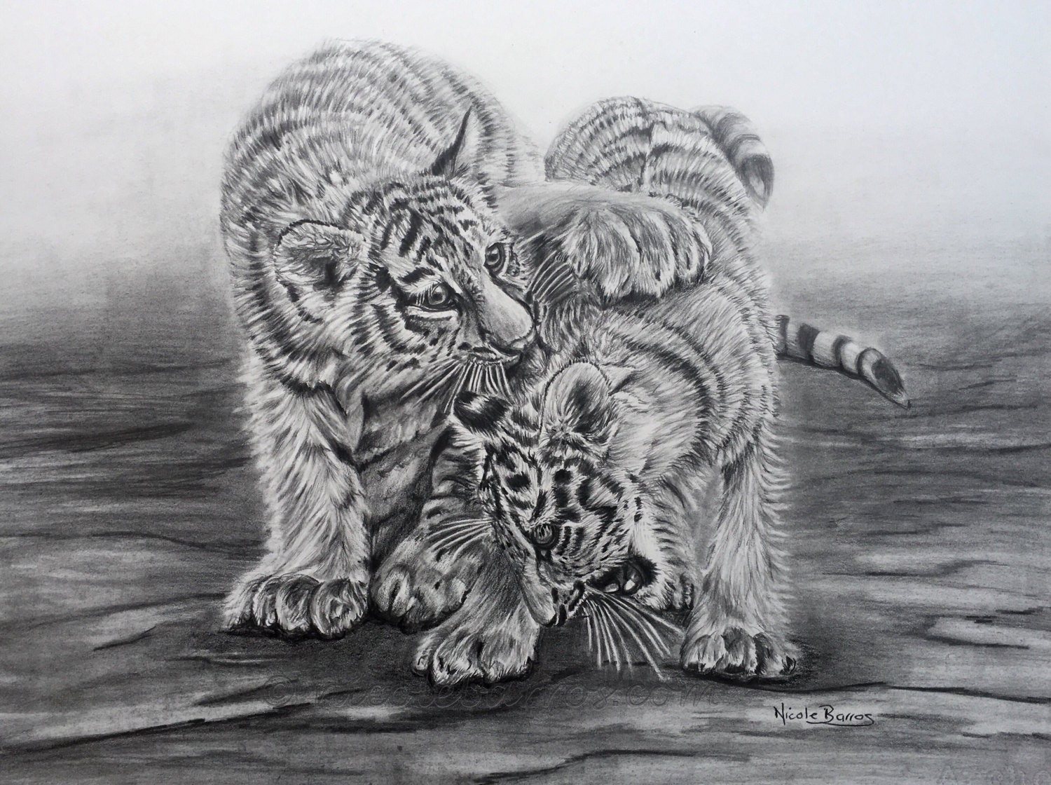 Making progress with my tiger cub drawing   Remrovs Artwork  Facebook