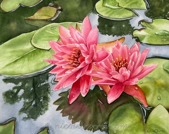 Water Lily Painting Etsy Water Lily Painting Etsy