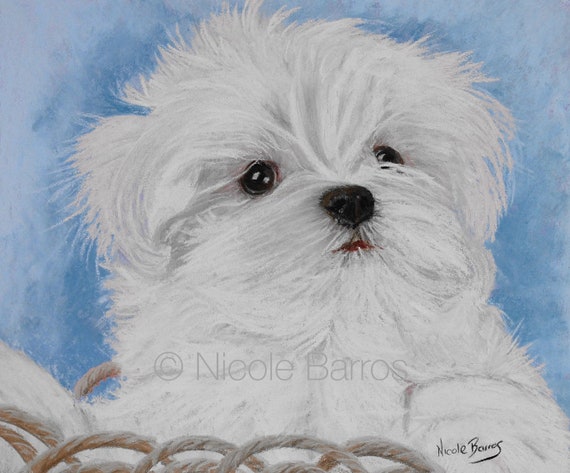 maltese painting