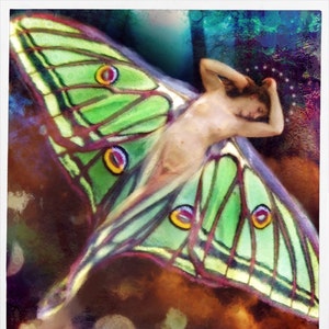 May include: A watercolour painting of a woman with wings that resemble a green luna moth. The woman is lying on her back with her arms above her head. The background is a dark blue with white stars.
