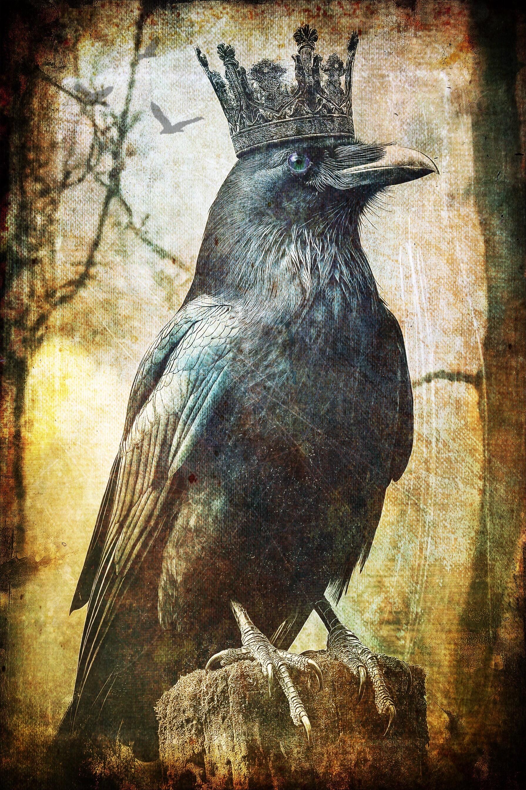 The Raven King - Guardian of the Threshhold - 4X6 Matted Mini Gallery ...