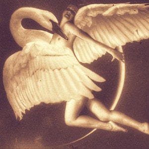 Leda - 8X10 Signierter und Mattierter Metallic Print