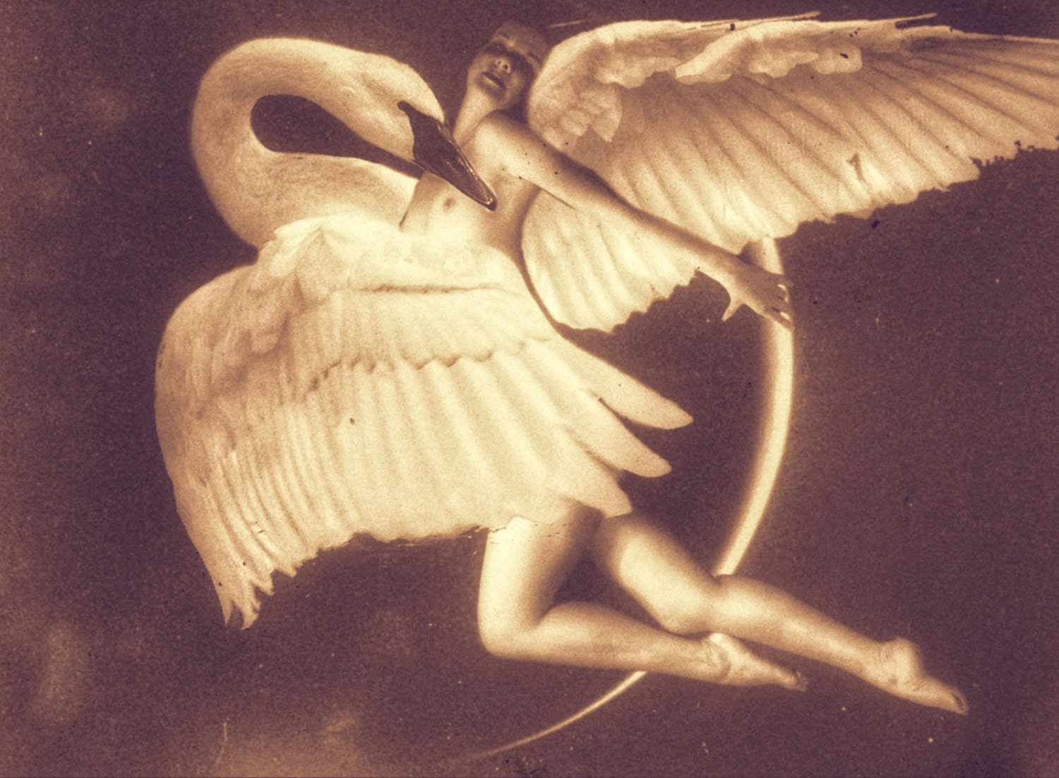 leda and the swan skateboard