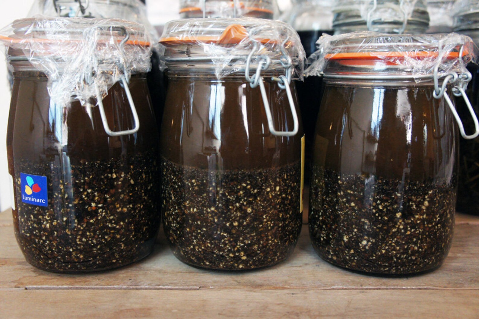 BLACK PEPPER Spagyric Tincture Alchemically Enhanced Plant Etsy