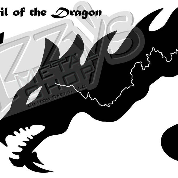 Tail of the Dragon Art Etsy