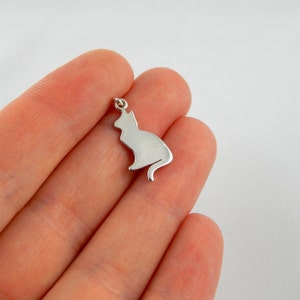 Sterling silver Cat necklace, cat lover, kitty necklace, cat jewelry, kitty jewelry, kitten, animal jewelry, pet necklace, children gift 323