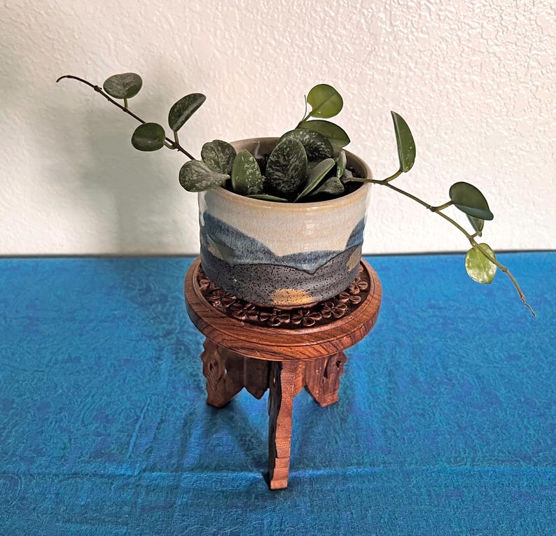 May include: A Hoya plant with variegated green leaves in a cylindrical ceramic pot featuring a landscape pattern of cream, blue, and dark grey. The pot rests on a circular wooden stand with three carved legs and a floral-patterned top surface.