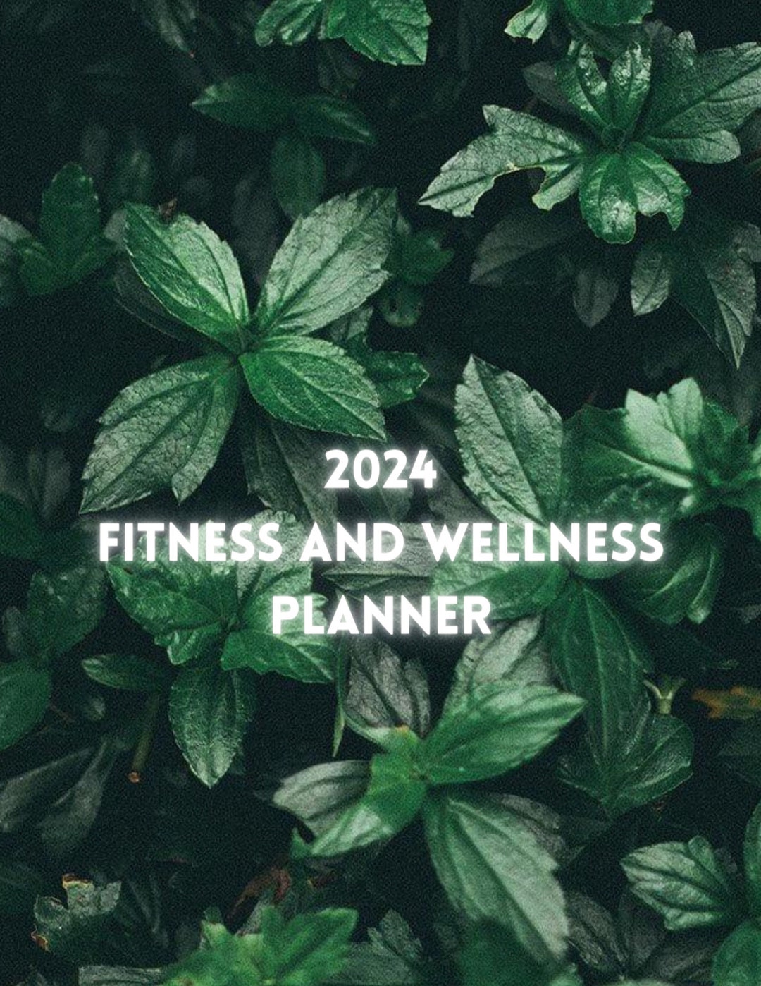 2025 Fitness and Wellness Planner Etsy Australia