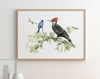Pileated Woodpecker and Indigo Bunting, Wooden Framed Art Print With Museum-Quality Matte Paper