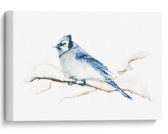 Blue Jay Print - Etsy