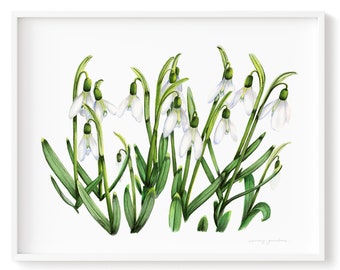 Art Print Snowdrops Flowers Watercolor Painting High Quality Giclée Wall Art Beautiful Botanical Art Watercolour on Paper frame Not included