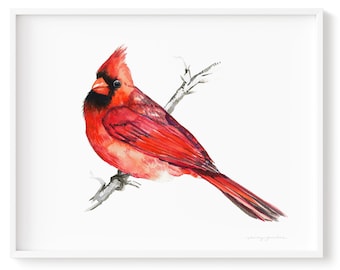 Art Print Red Cardinal Bird Watercolor Giclée Print Beautiful Painting Male Cardinal Bird Watercolour on Paper Wall Art, frame Not included