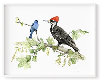 Art Print of Gorgeous Indigo Bunting  and Pileated Woodpecker Watercolour Painting Custom Size Available HighQuality Prints frameNotincluded