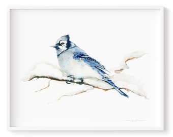 Blauhäher Aquarell Hochwertiger Kunstdruck Giclée, Rahmen Nicht enthalten, Blauhäher Vogel Aquarelldruck, Wunderschöne und hochwertige Drucke