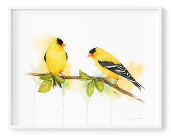 Goldfinch Birds Watercolour Art Print Giclée frame Not included, Cute Yellow Goldfinch Birds Watercolour Painting, High Quality Art Prints