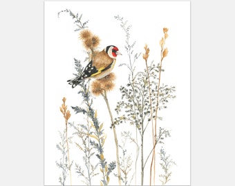 Art Print European Goldfinch In The Wild watercolour Giclée, frame Not included, European Goldfinch Bird print, High Quality Prints